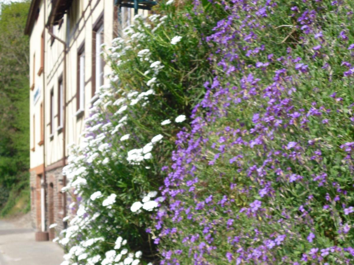 Boutique-Hotel Jungenwald Traben-Trarbach Exteriör bild